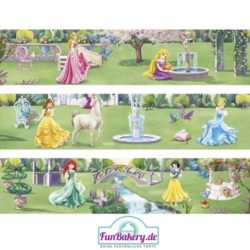 Disney Prinzessinnen / Princess