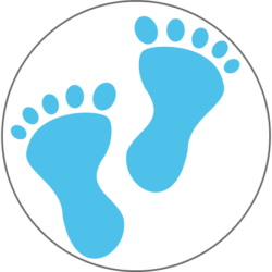 Erste Schritte - Blaue Füße
