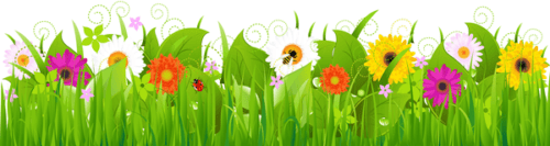 Blumenwiese