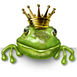 Froschprinz