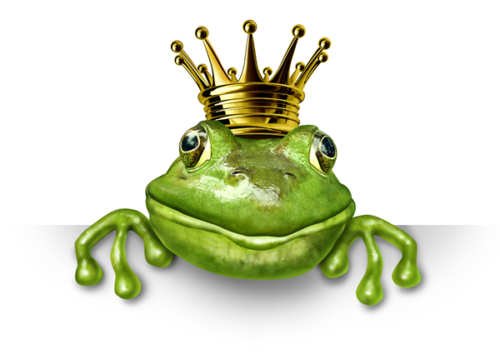 Froschprinz