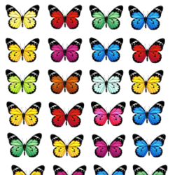 Bunte Schmetterlinge