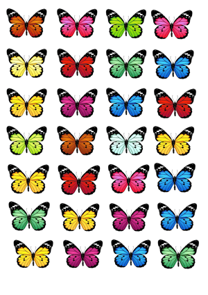 Elas Fensterbilder 5 Schöne bunte Schmetterlinge * 