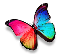 Bunter Schmetterling 4